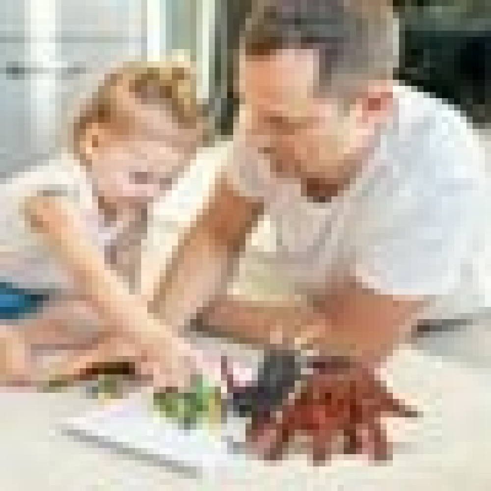 Dinosaur Toy Walking Jurassic Triceratops
