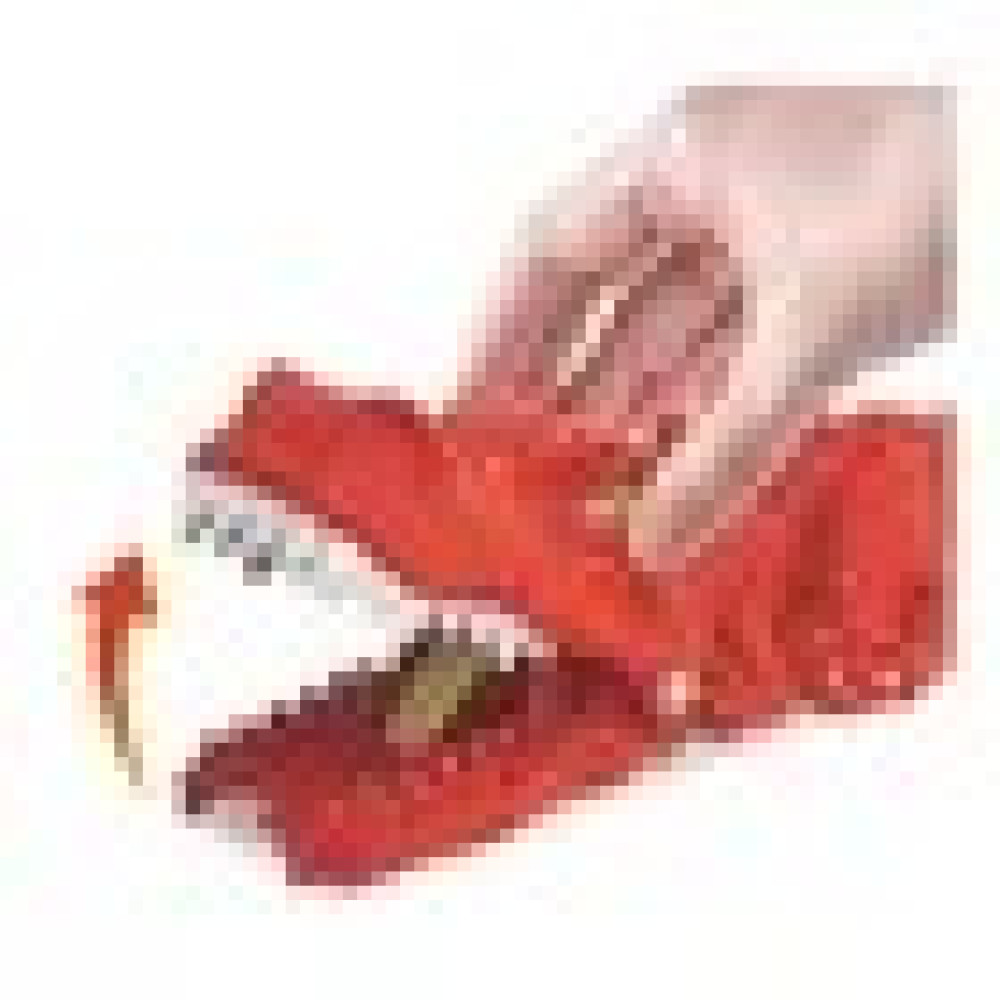 Hot Wheels Pista e Lançador Hot Wheels City Dinossauro T-rex Mattel
