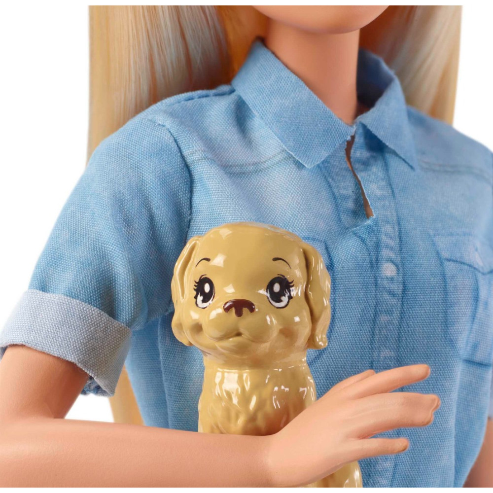 BARBIE - Dreamhouse Adventures Viajante