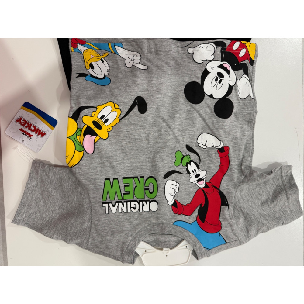 Conjunto Disney  24 meses